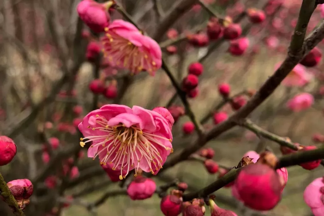 首页| 恒峰G22国际中国官方网站