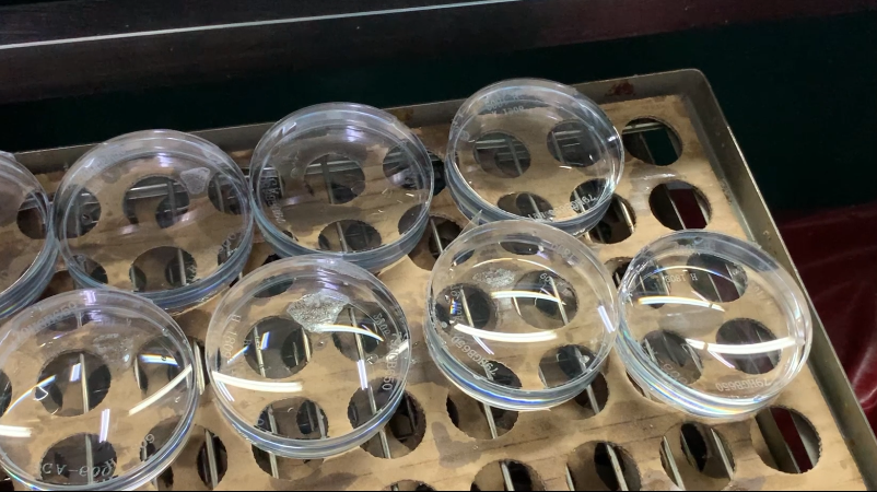 首页| 恒峰G22国际中国官方网站